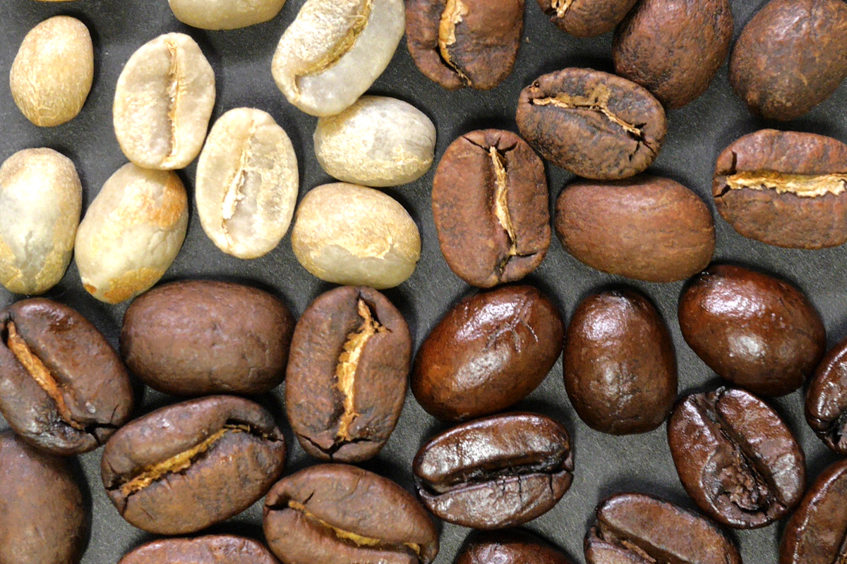 焙煎度の違うコーヒー豆